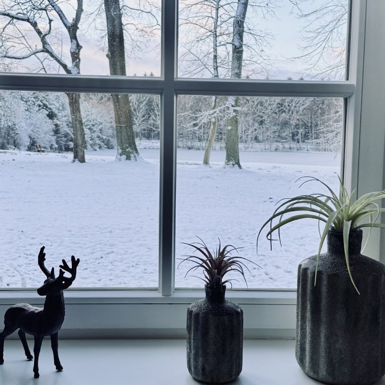 Ausblick auf den privaten Badesee im Winter