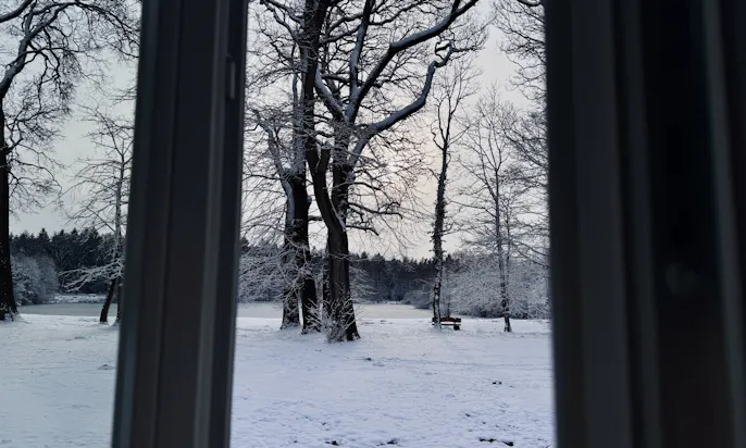 Ausblick von der Ferienwohnung Frydag auf den Badesee