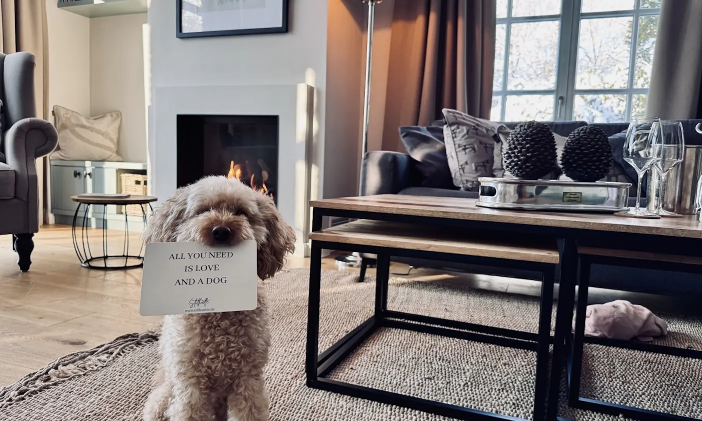 Pudel hat eine Postkarte in Maul: All you need is love. And a dog.