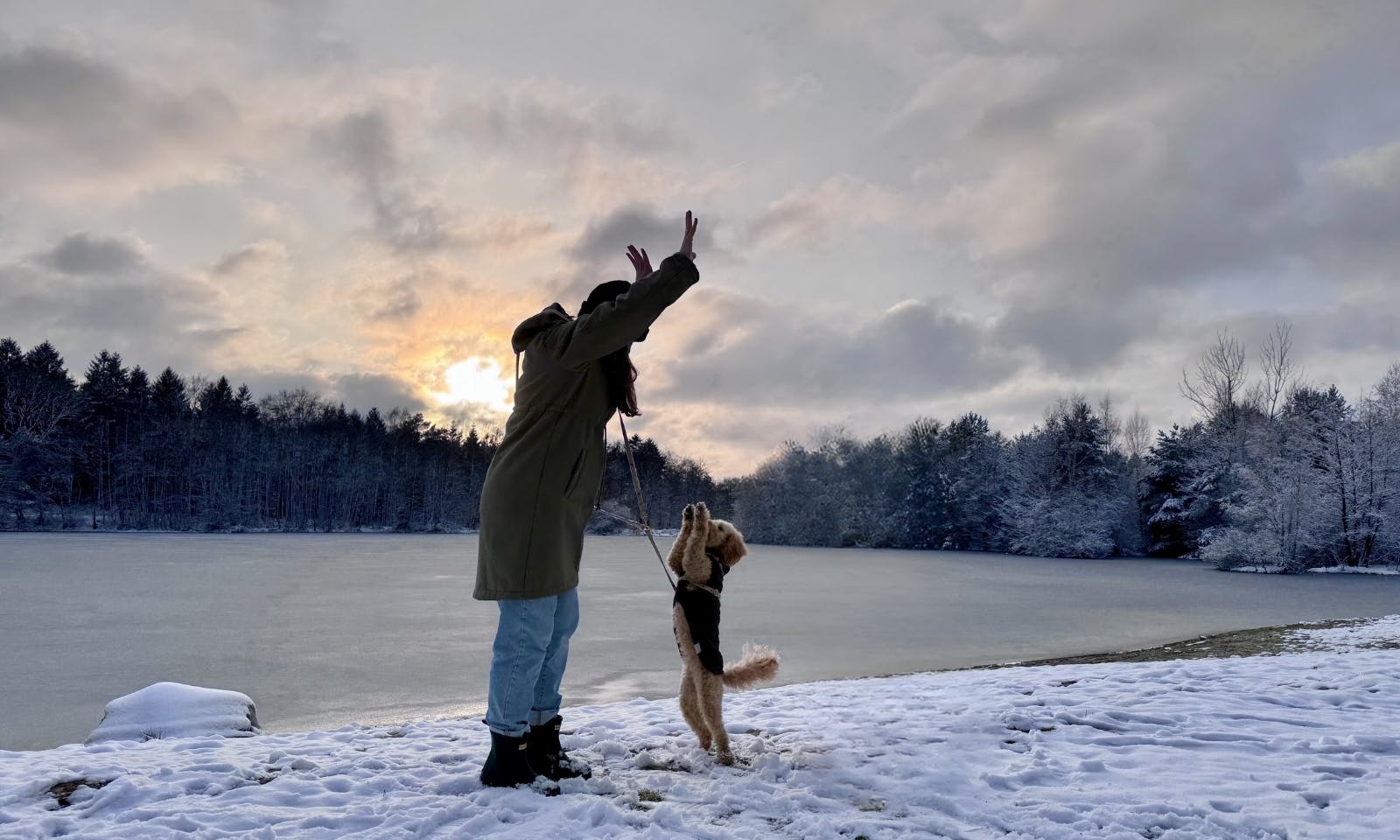 Frau und Pudel machen Hundetricks im Schnee im Sonnenuntergang