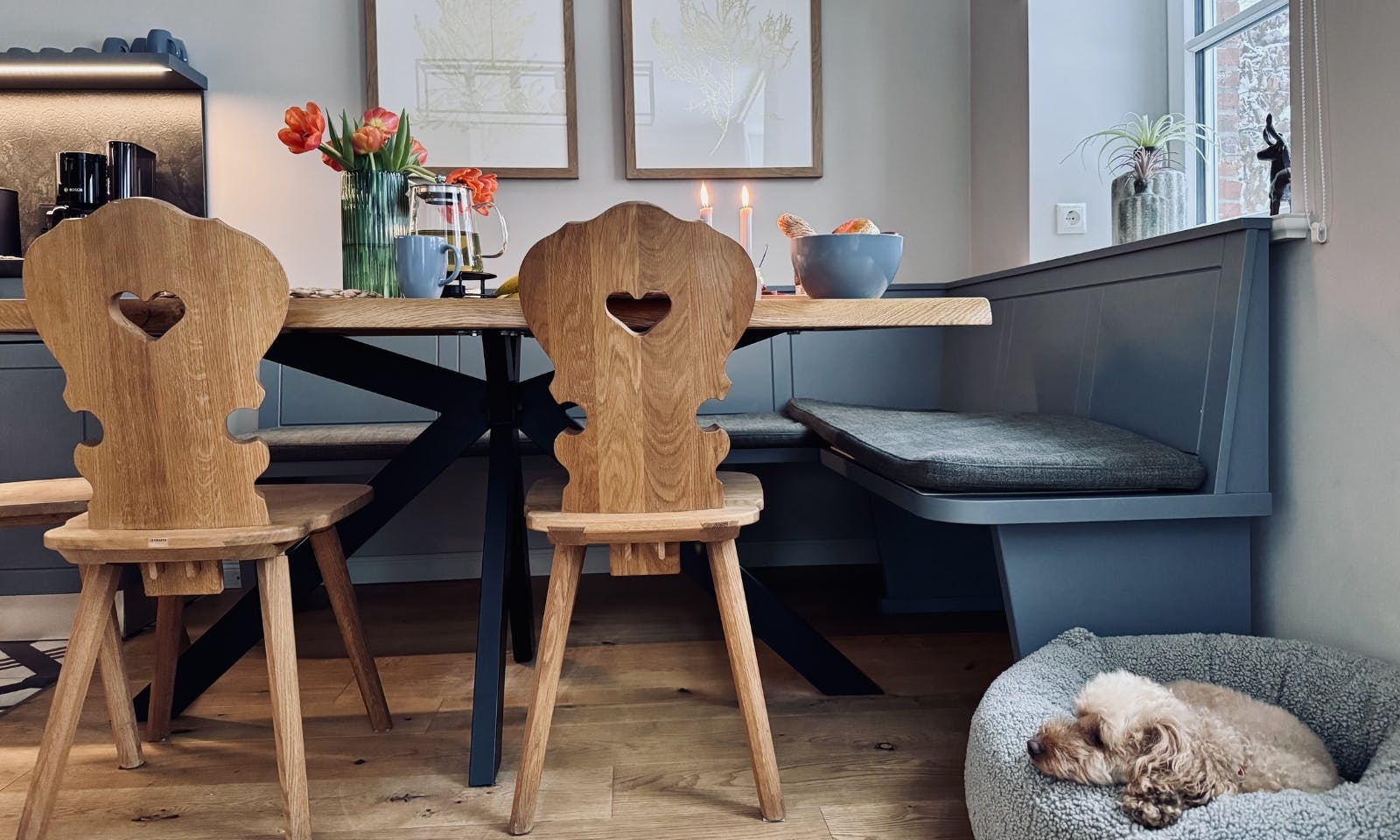 Hund schläft in der Küche im Körbchen neben den Holzstühlen