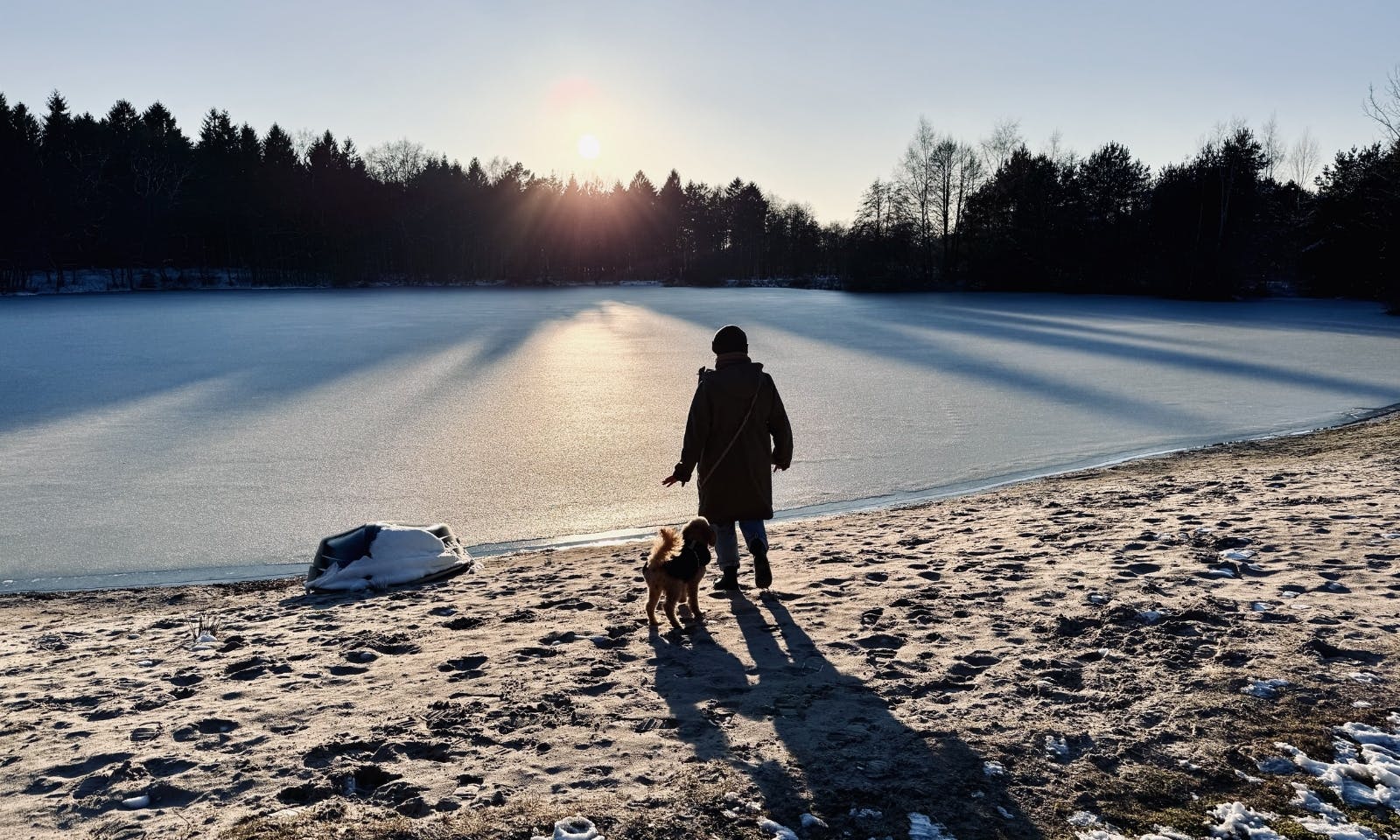 Privater Badesee vom Forsthaus Gödens in Ostfriesland zugefroren im Februar mit Hund