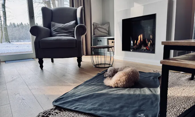 Hund schläft vor dem Gaskamin im Wohnzimmer