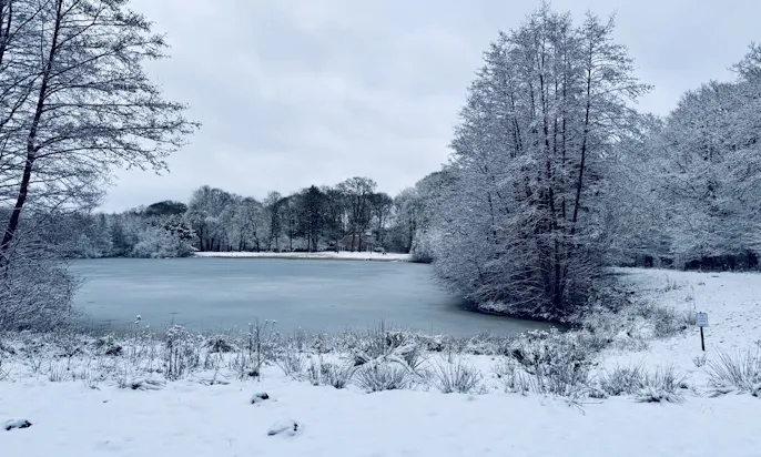 Blick auf das Forsthaus Gödens und den Badesee im Winter