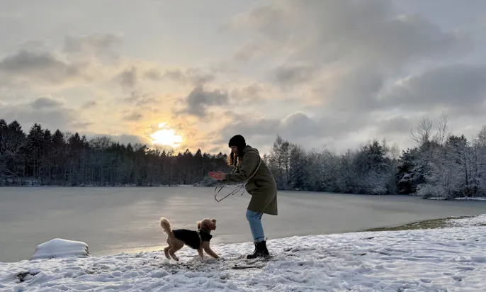 Frau und Pudel machen Hundetricks im Schnee im Sonnenuntergang