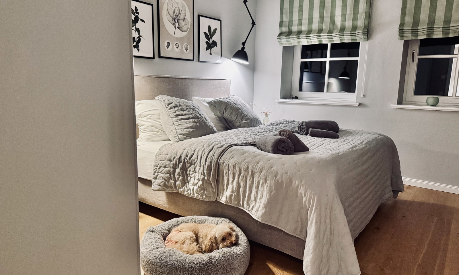 Goldendoodle eingekuschelt in einem grauen Hundekörbchen im Forsthaus Gedön