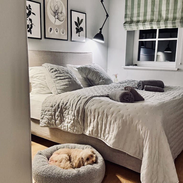 Goldendoodle eingekuschelt in einem grauen Hundekörbchen im Forsthaus Gedön