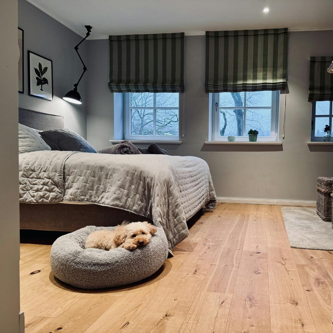 Goldendoodle im Körbchen im Schlafzimmer