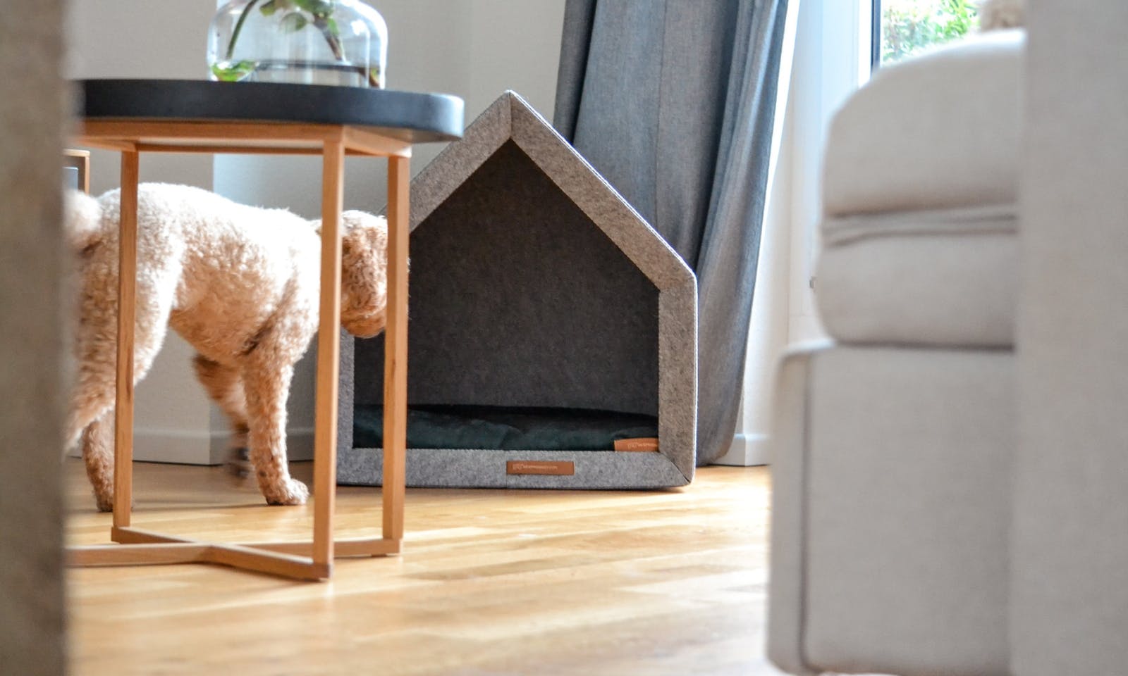 Nachhaltige und minimalistische Hundekörbchen und Indoor Hundehütten von Rexproduct
