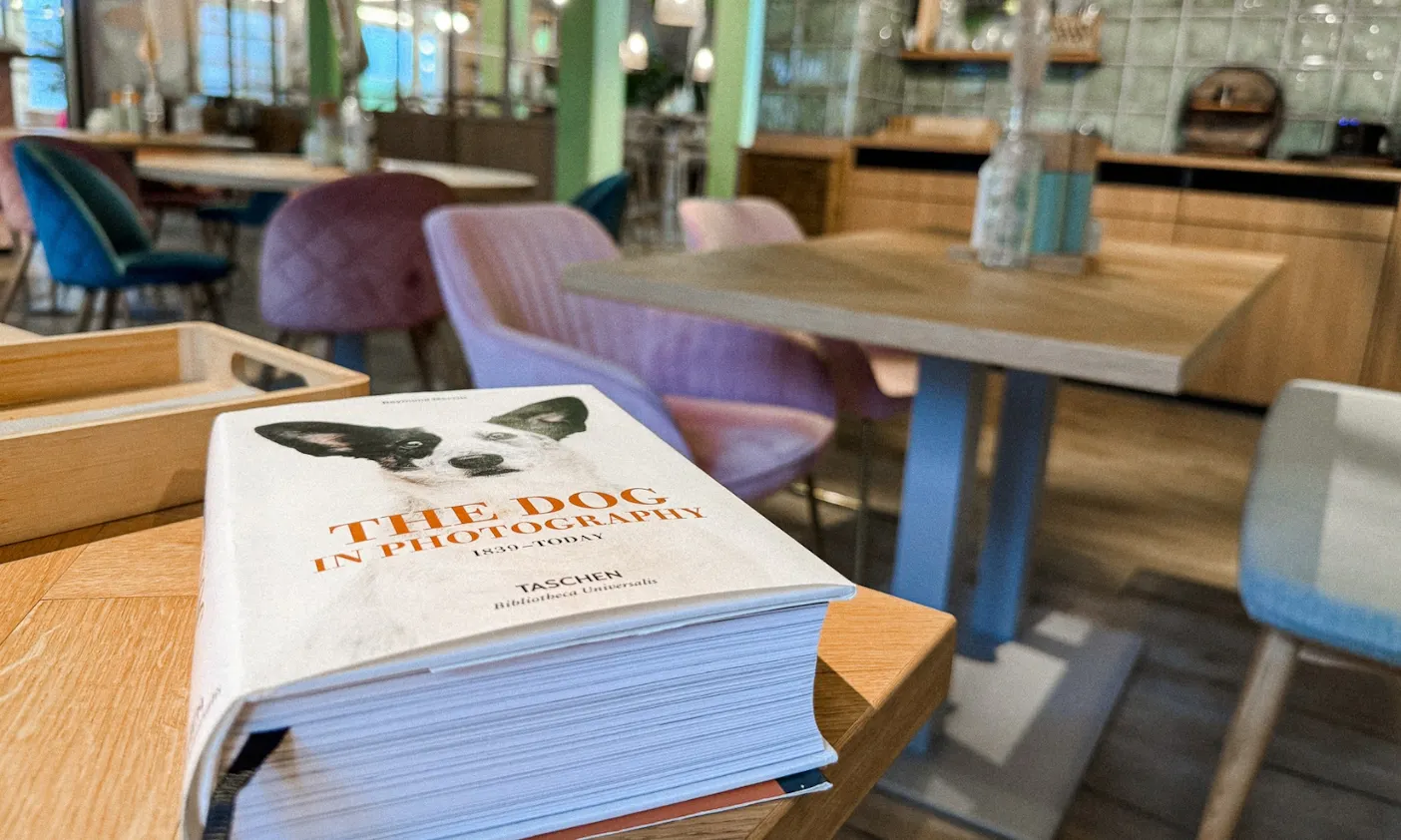 Hundefreundliches Restaurant in Büsum: Restaurant The Cove