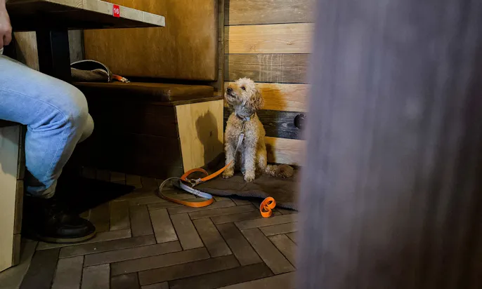 Hundefreundliches Restaurant Strandschuppen in Büsum von der Bretterbude