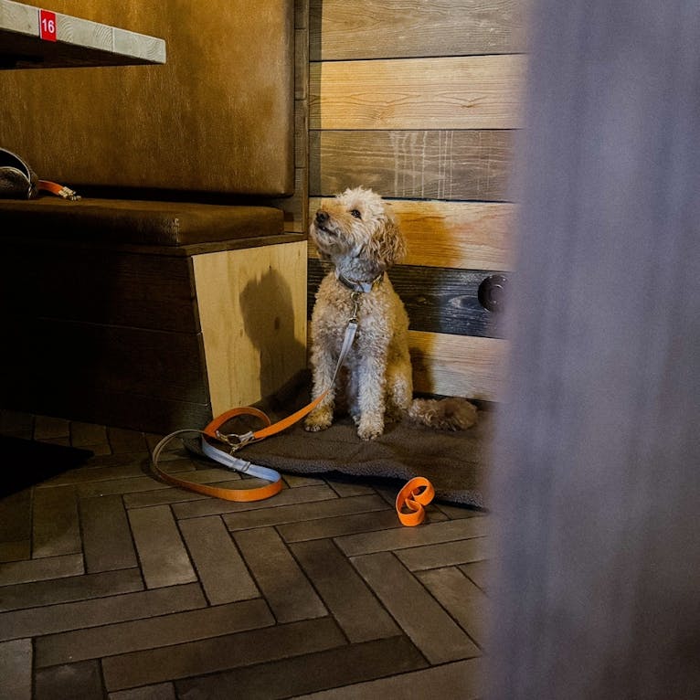 Hundefreundliches Hotel in Büsum: Bretterbude