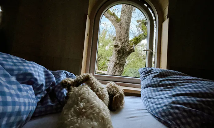 Glamping in Deutschland im Iglucamping Allgäu-Bodensee