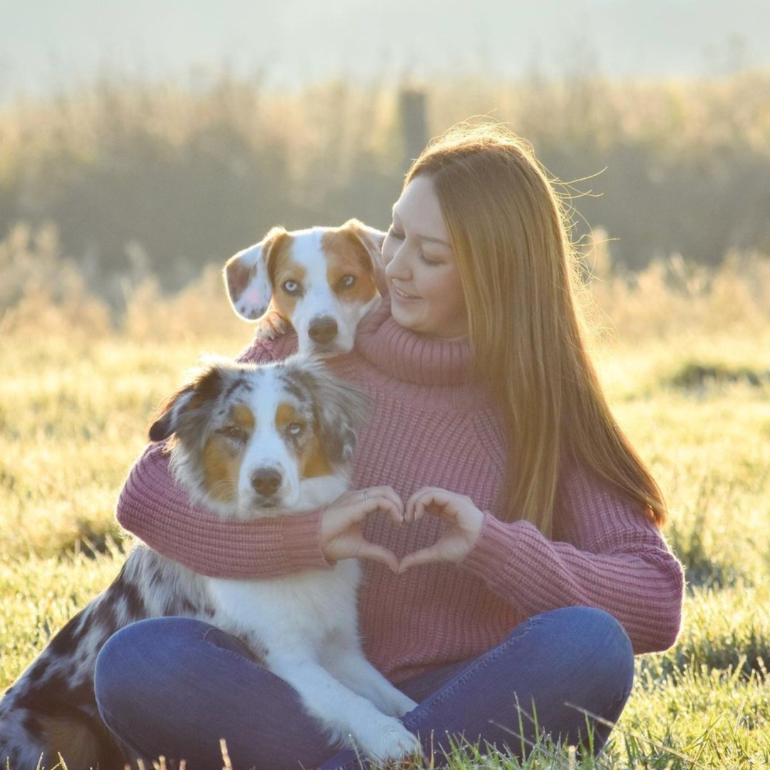Mehrhunde­haltung im Alltag: Svenja von Herzens­hündinnen im Interview
