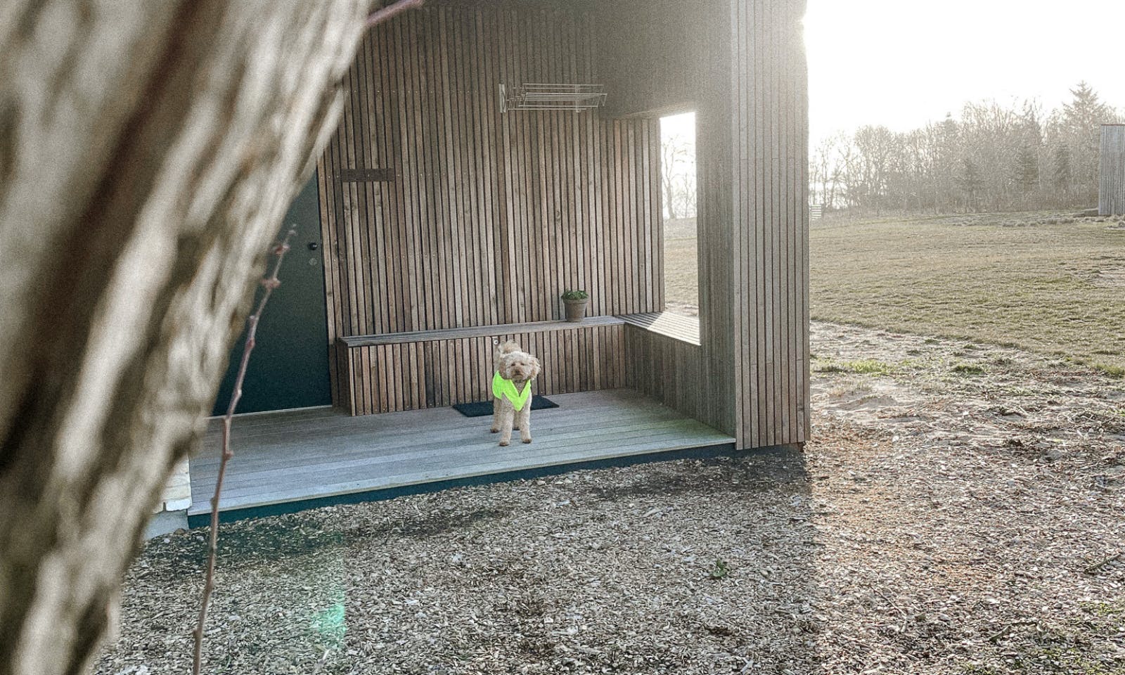 Workation mit Hund in der Helnæs Mølle