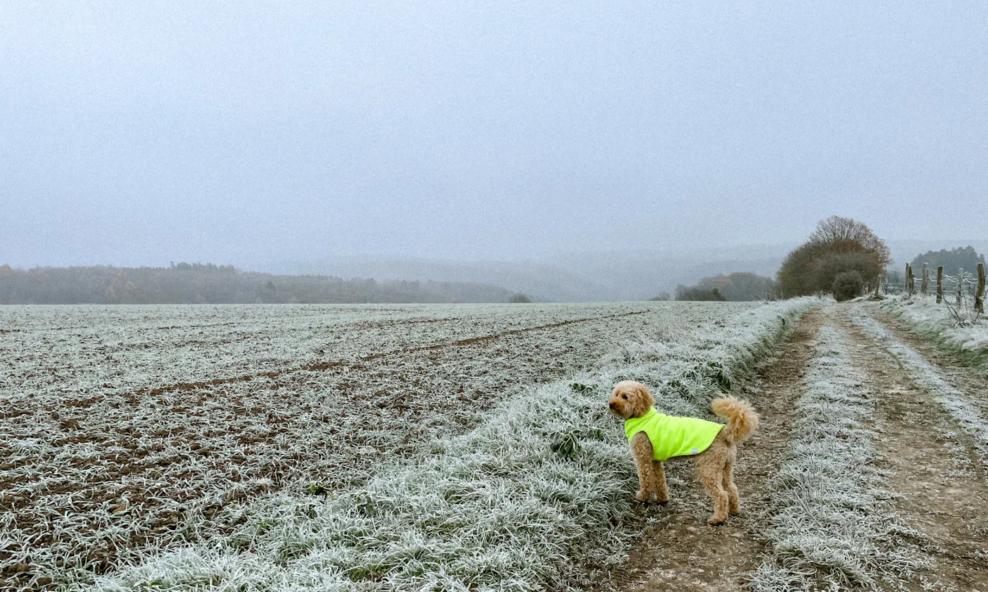 neonfarber Fleece-Hundemantel für den Winter