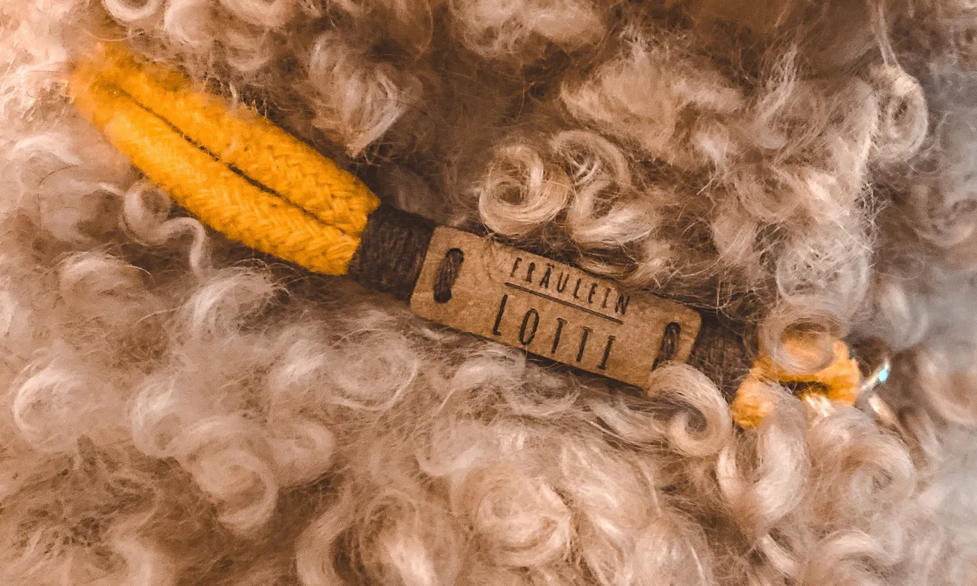 Hundehalsband Goldendoodle
