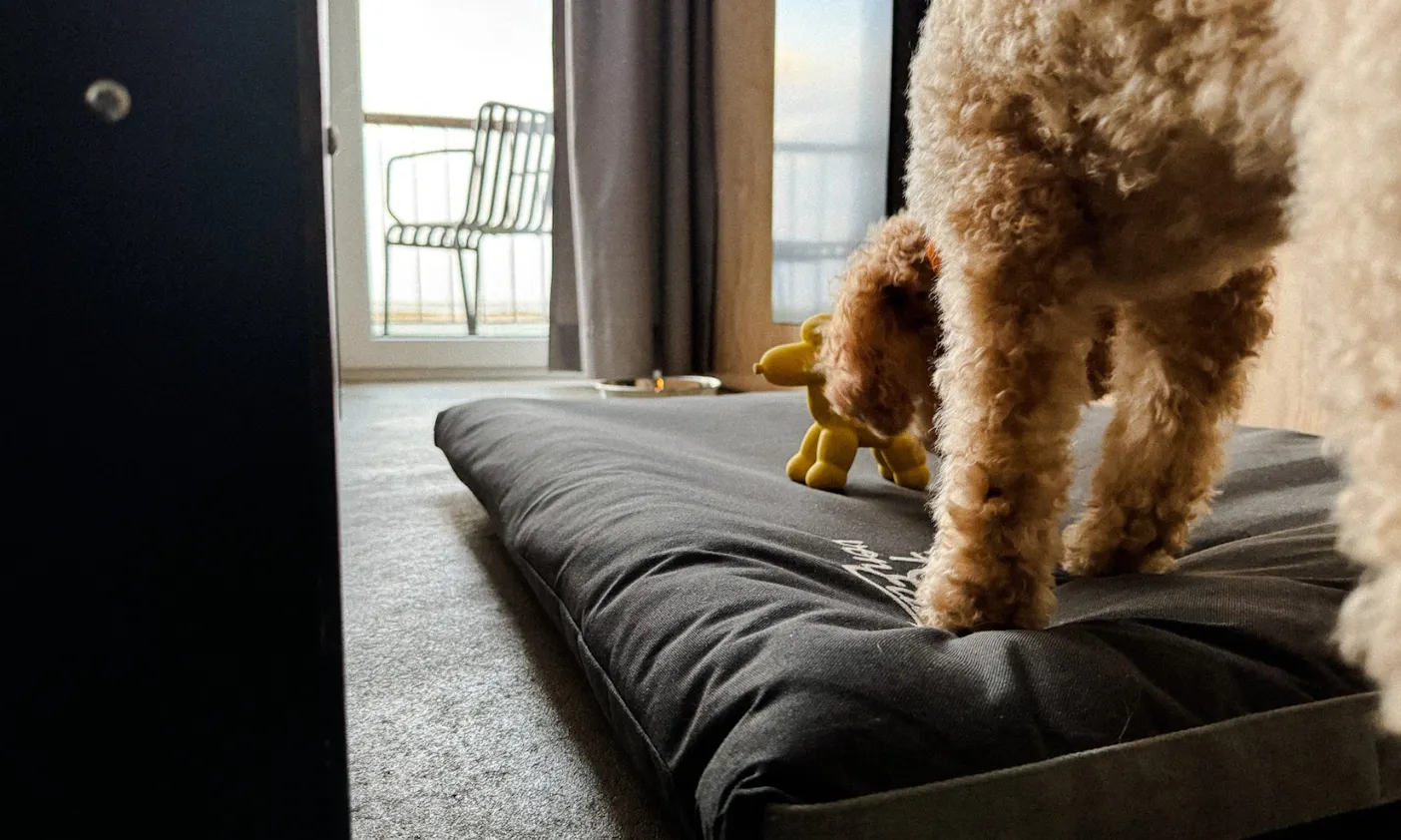 hundefreundliches Hotel Bretterbude in Büsum