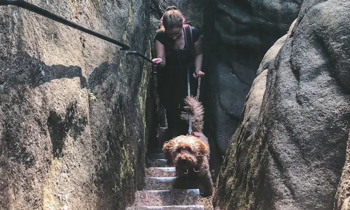 Trekking-Ausrüstung für Hunde