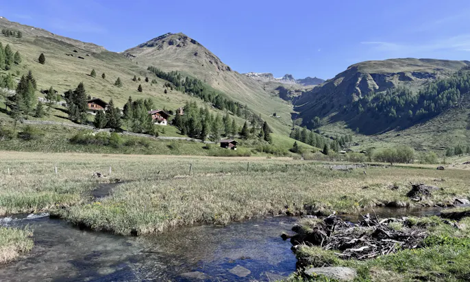 Naturlandschaft mit einem Bach im Astener Moos