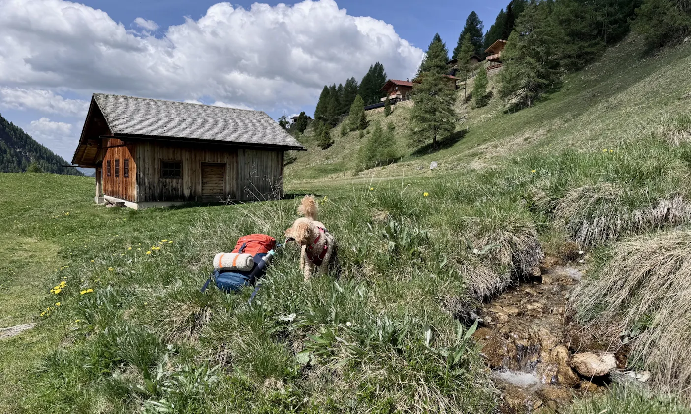 Hund vor einem Wanderrucksack und der Mooizo Hundedecke im Astener Moos