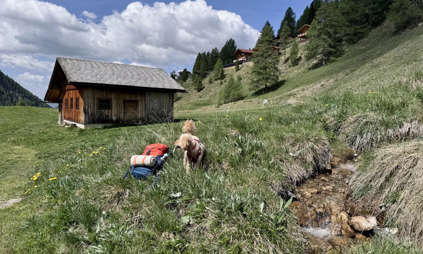 Hund vor einem Wanderrucksack und der Mooizo Hundedecke im Astener Moos