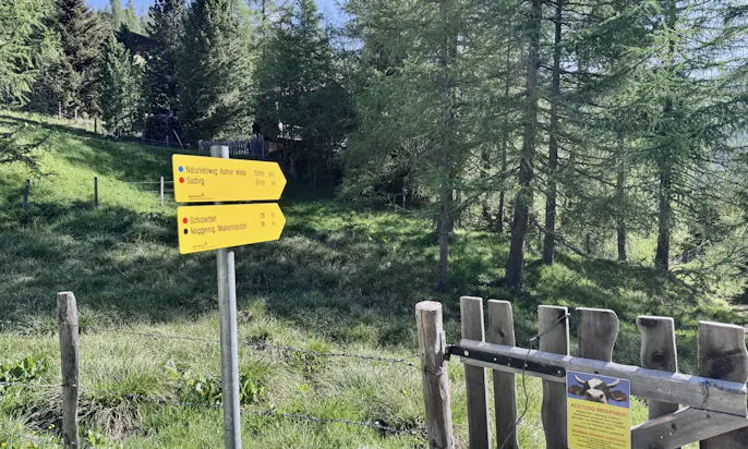 Wegweiser im Astener Moos