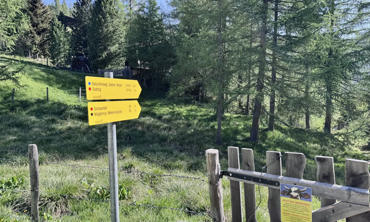 Wegweiser im Astener Moos