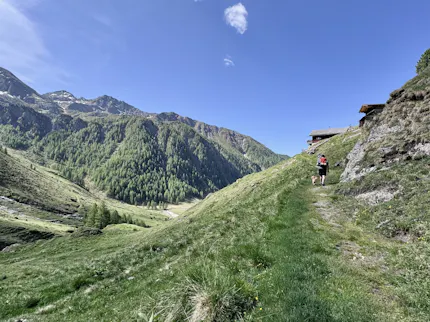 Landschaft im Astener Moos im Sommer