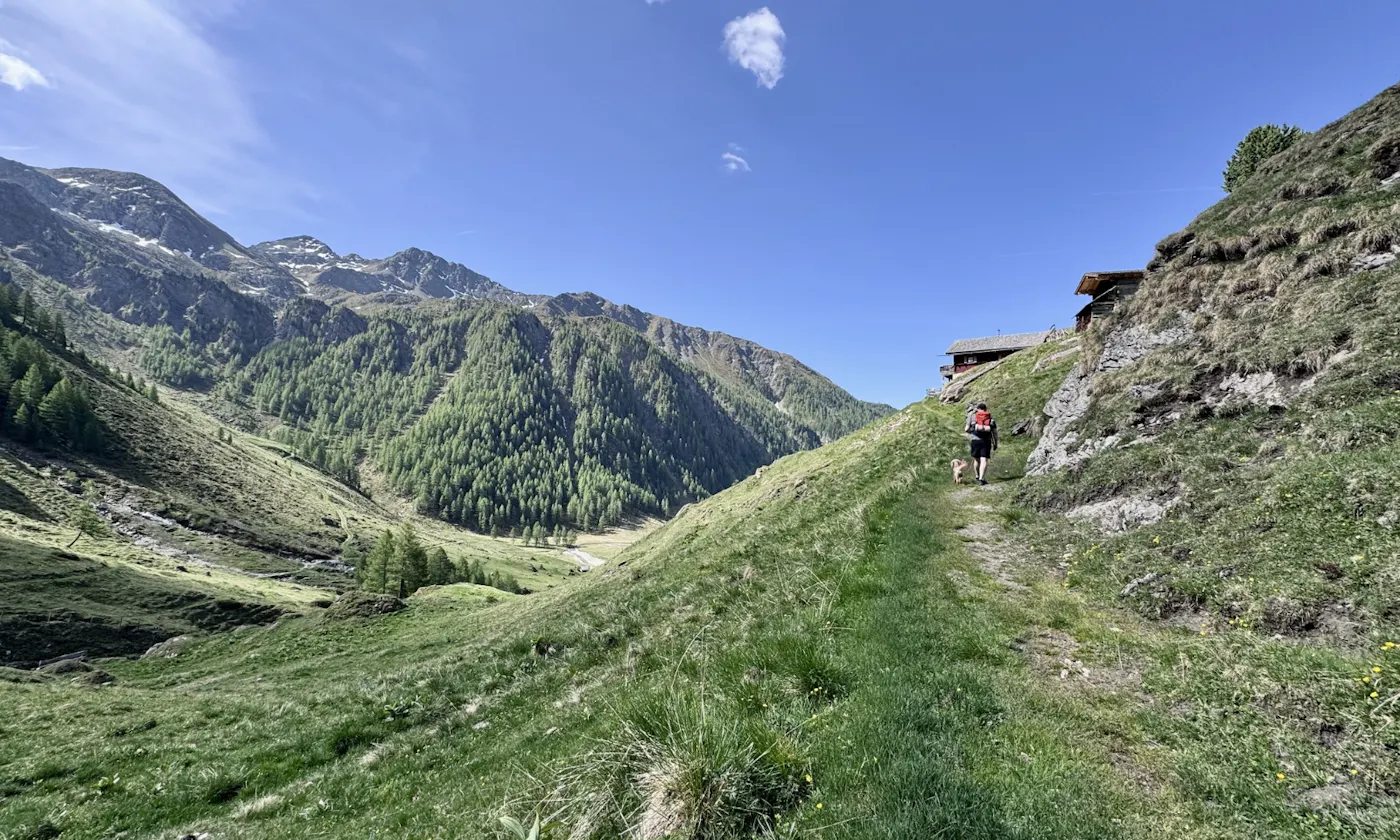 Berge im Astener Moos