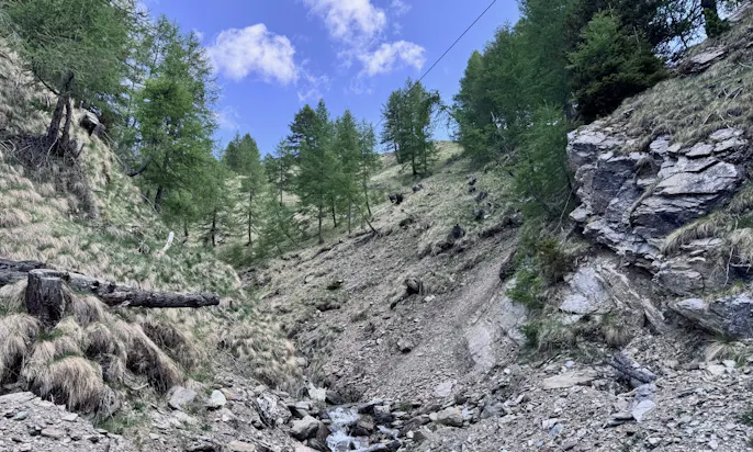 Gebirge im Astener Moos