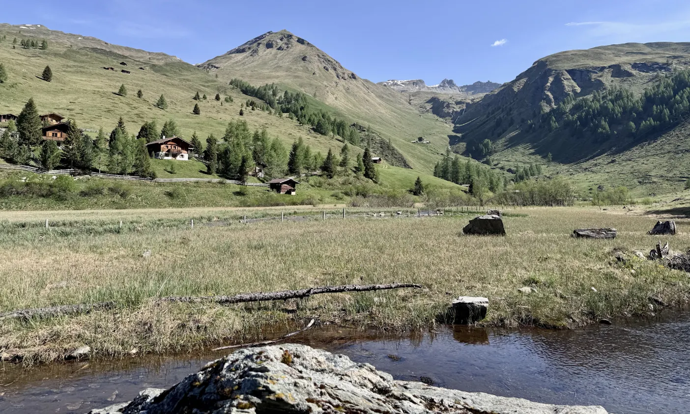 Wasser im Astener Moos
