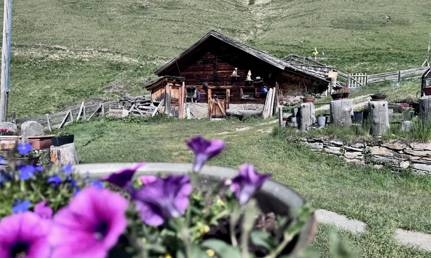 Blumen vor der Almhütte Kröllalm