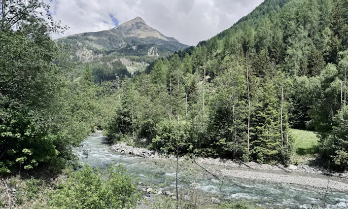 Möll