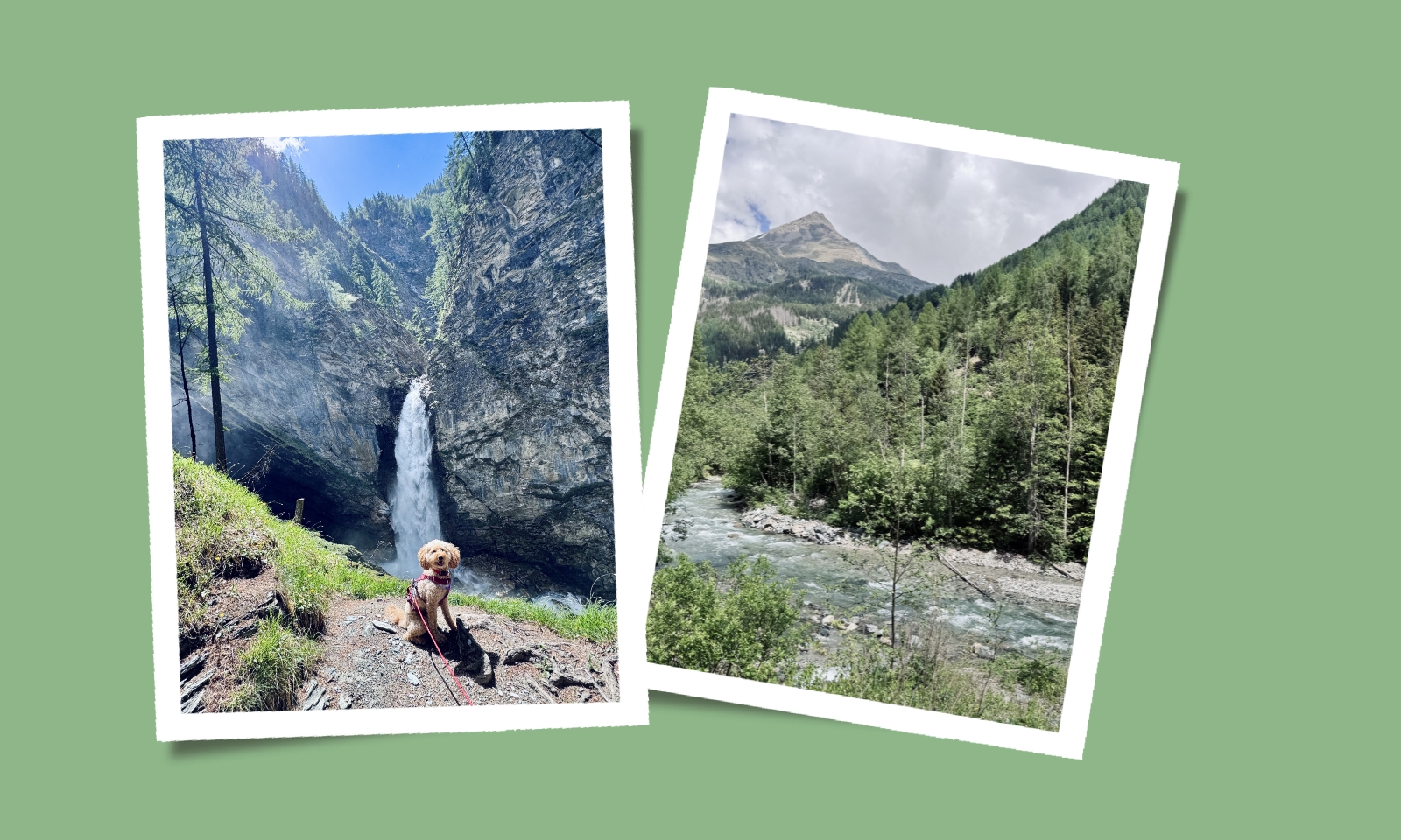 Collage von Gößnitz-Wasserfall bei Heiligenblut und einem Hund
