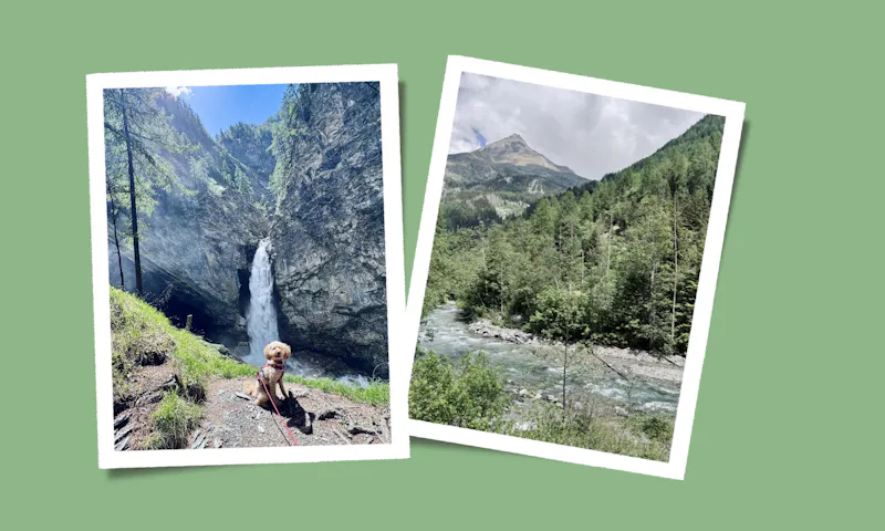 Collage von Gößnitz-Wasserfall bei Heiligenblut und einem Hund