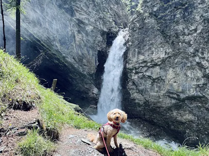 Gößnitz-Wasserfall in Heiligenblut