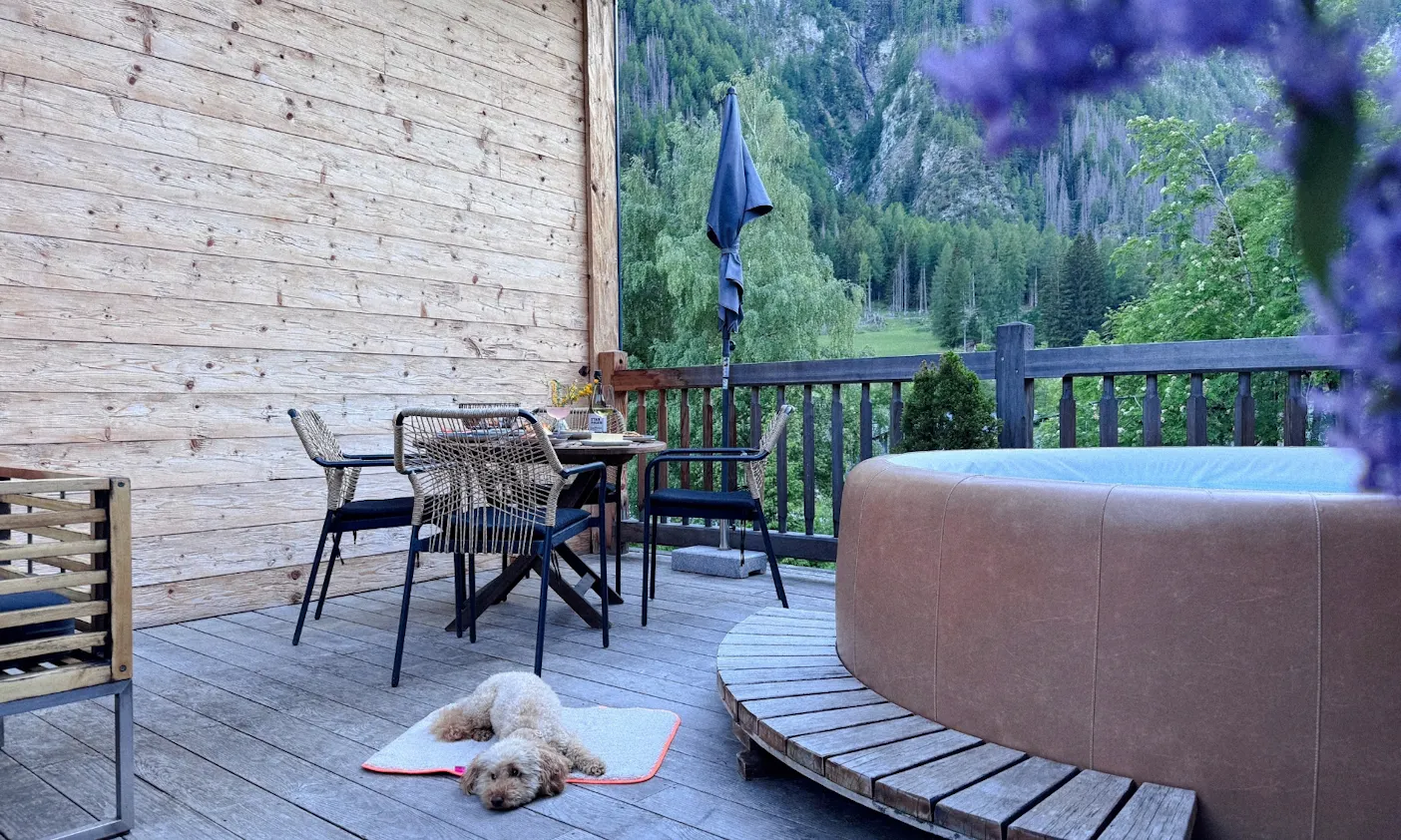Hund liegt auf Dachterrasse auf der Mooizo Decke