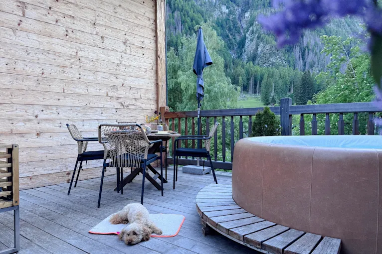 Dachterrasse mit Hund