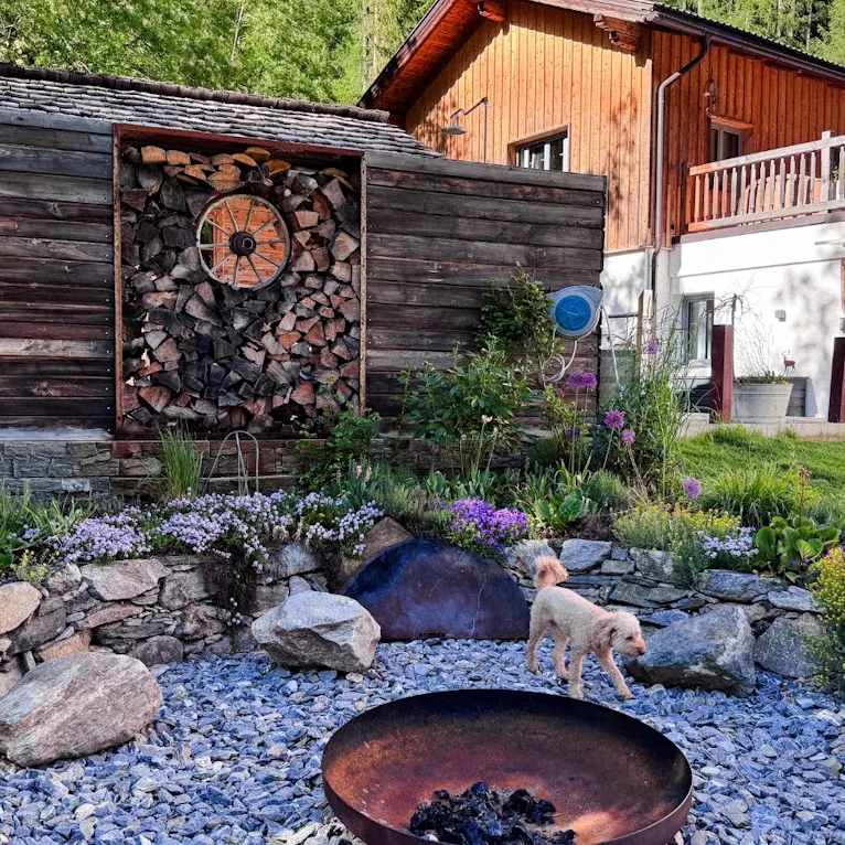 Hund läuft hinter der Feuerstelle lang