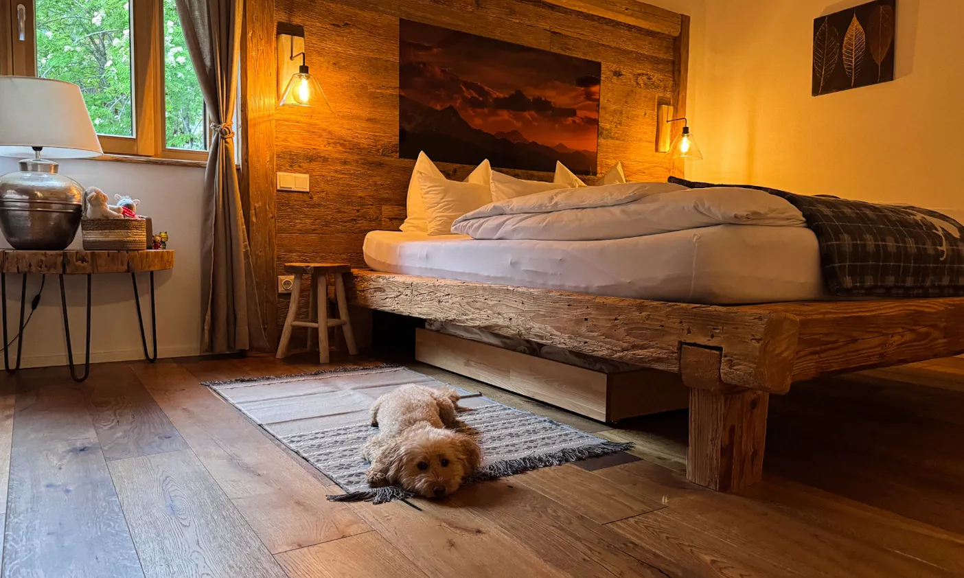 Hund vor dem Bett im großen Schlafzimmer