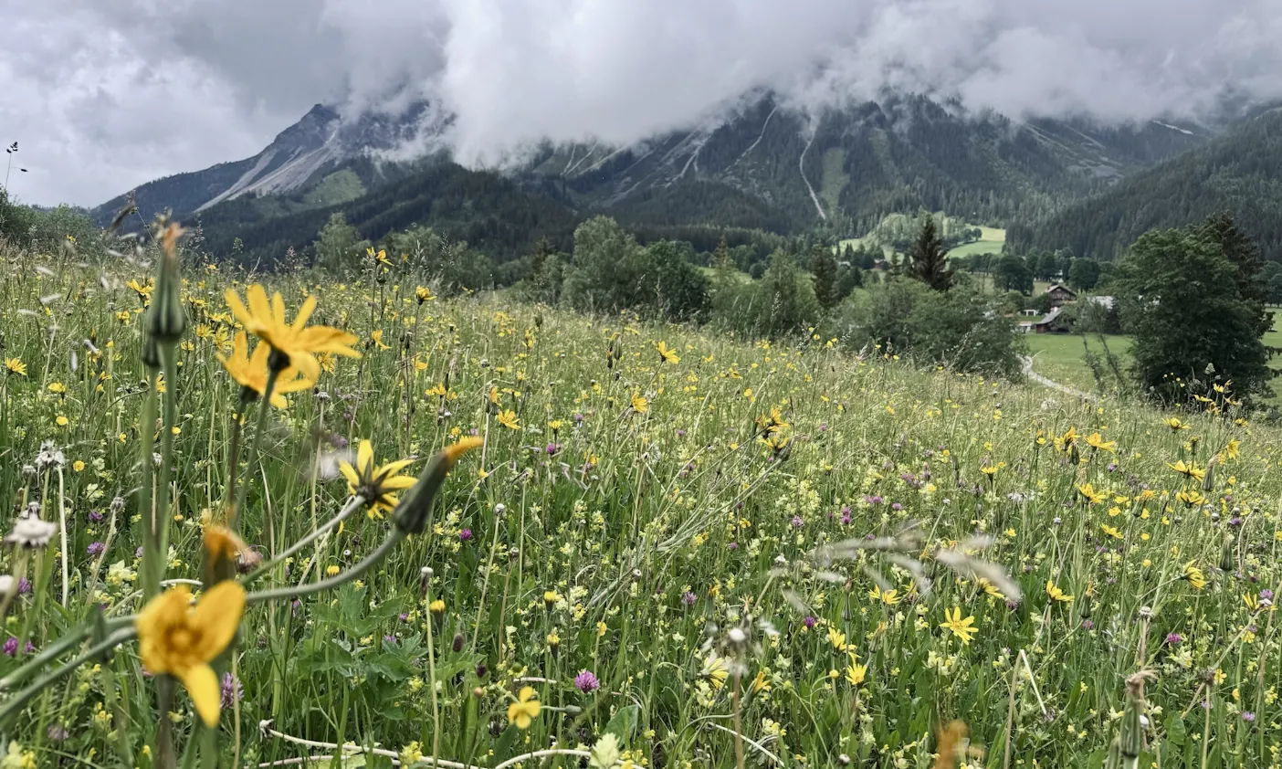 Ramsau am Dachstein