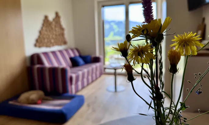 Wohnimmer im PanoramaAppartement HochOben Nr. 6