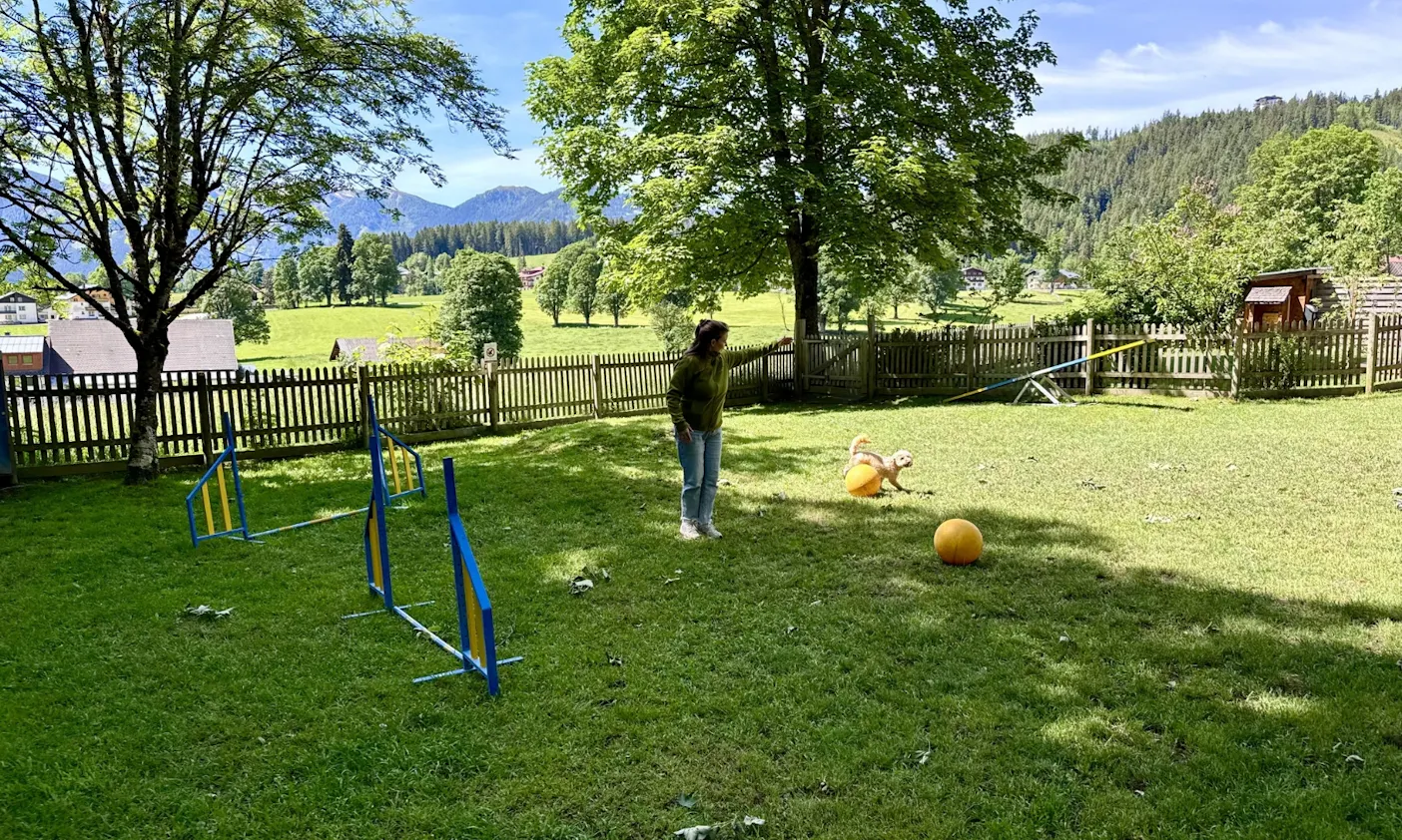 Hundeplatz