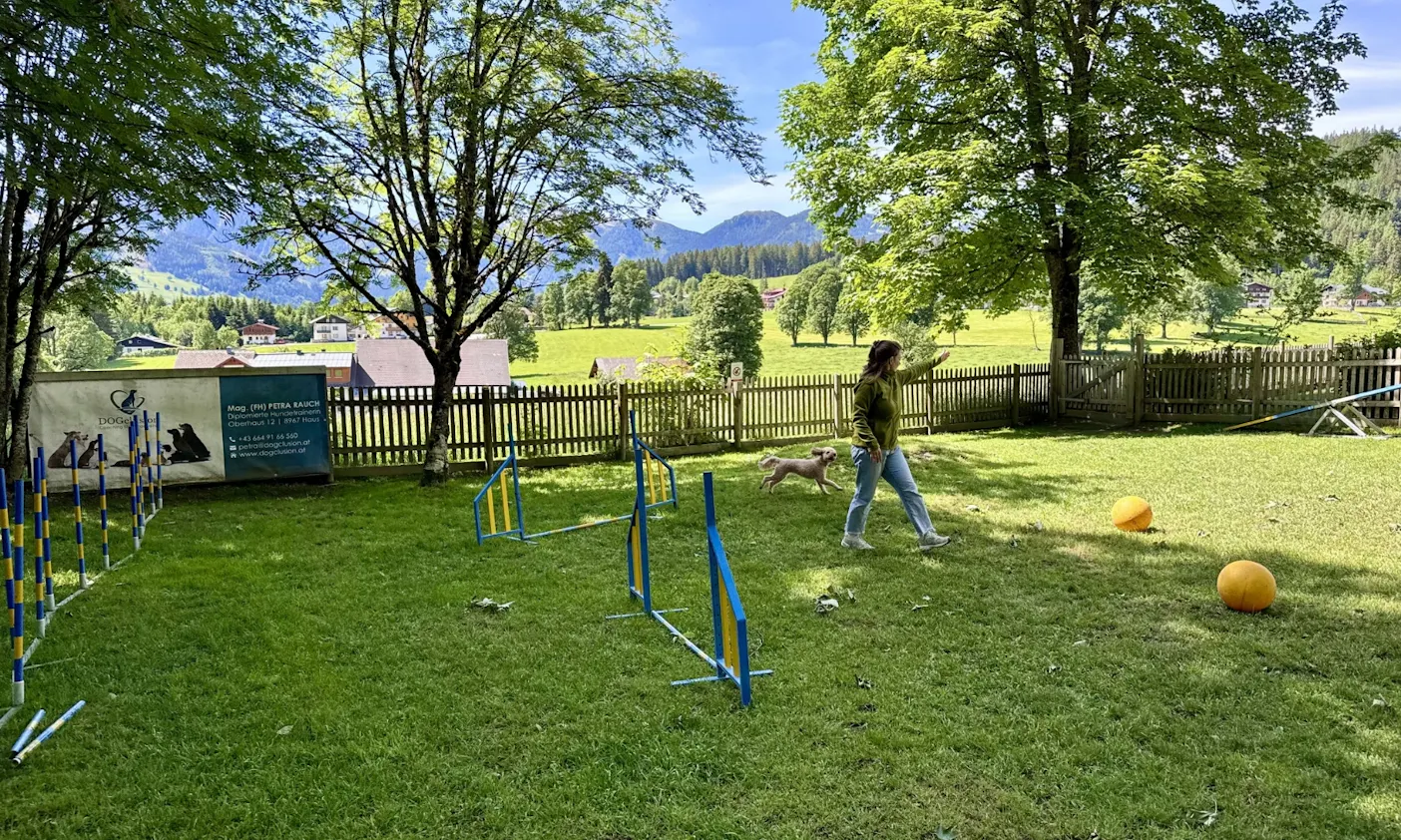 Frau macht mit Goldendoodle Agility auf der Agilitywiese im Almfrieden
