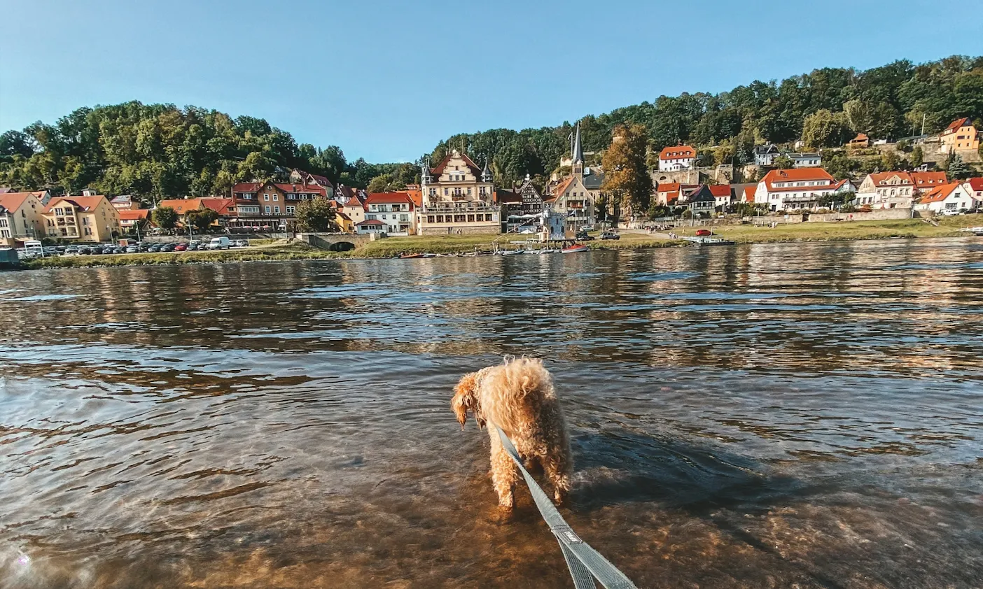 Von Wehlen bis nach Liebethal mit Hund