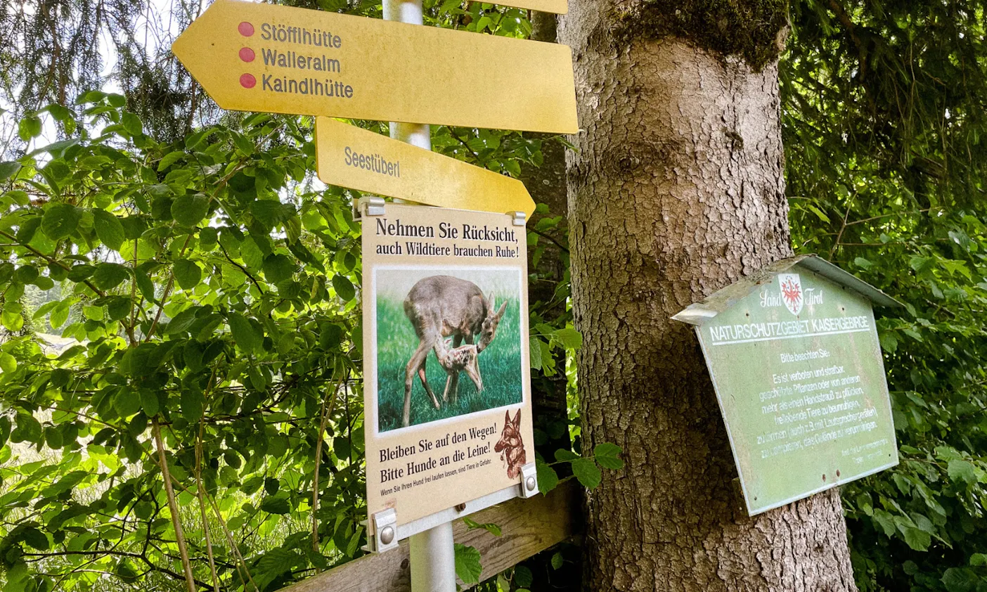 Regeln für Hunde am Wilden Kaiser in Tirol