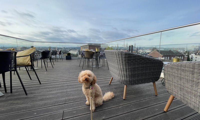 Uptown Sky Lounge & Restaurant in Aachen mit Hund