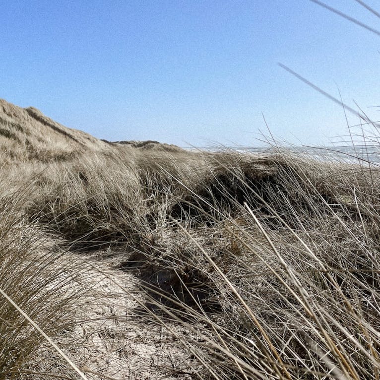 Blavand Strand