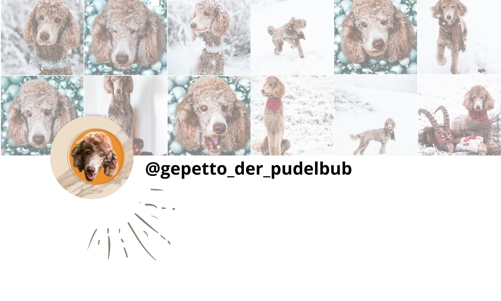 Petfluencer Pudel Instagram Gepetto